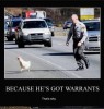 ChickenWithWarrants.jpg